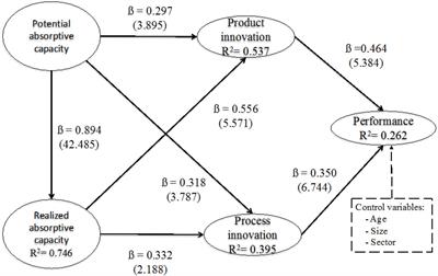 A Multidimensional Study of Absorptive Capacity and Innovation Capacity and Their Impact on Business Performance